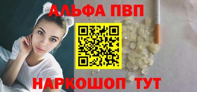 крисы Можга