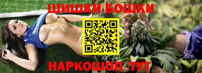 крисы Можга