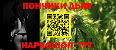 крисы Можга