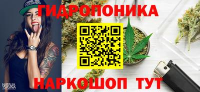 крисы Можга
