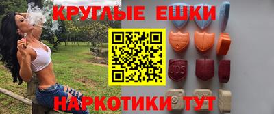 крисы Можга