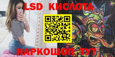 крисы Можга