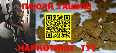 крисы Можга