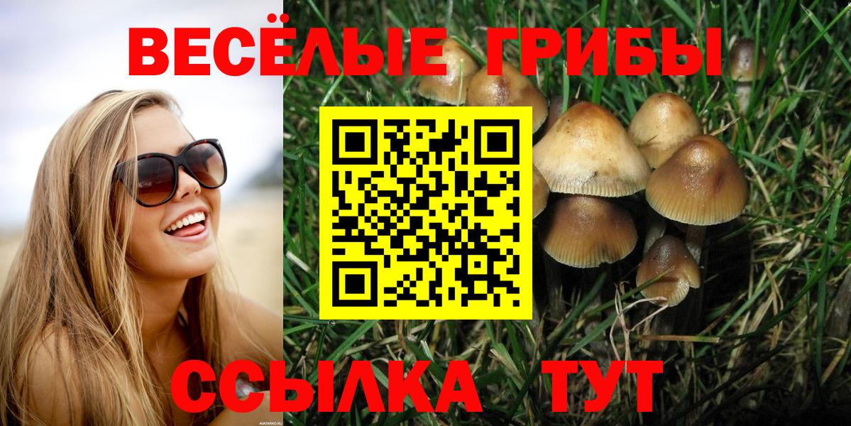 Псилоцибиновые грибы Magic Shrooms Шарыпово